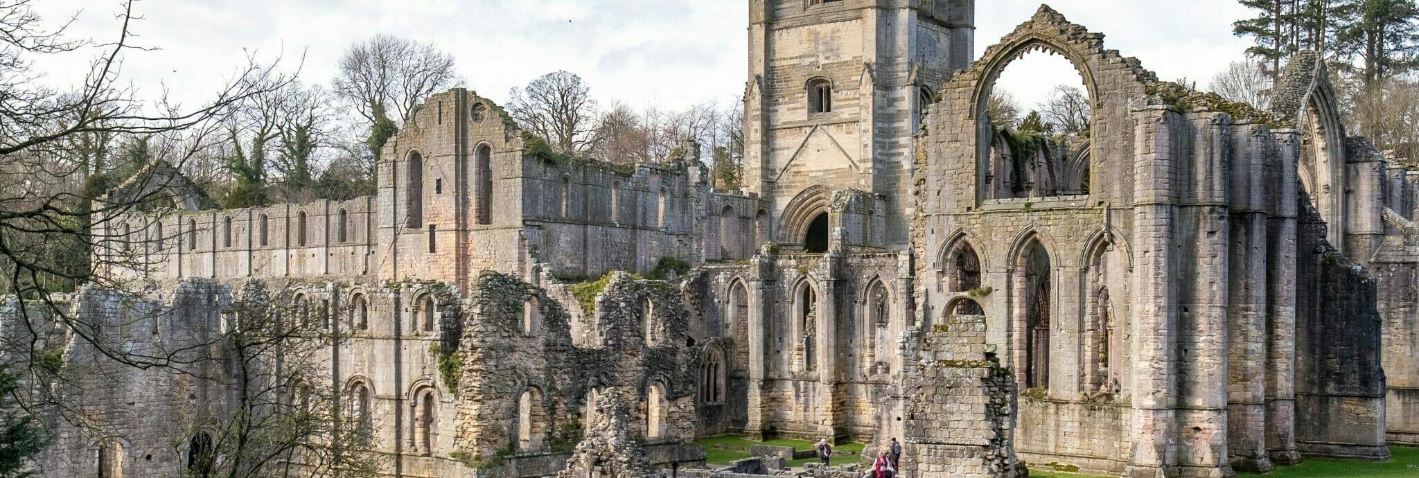 pexels-eheritage-3950570