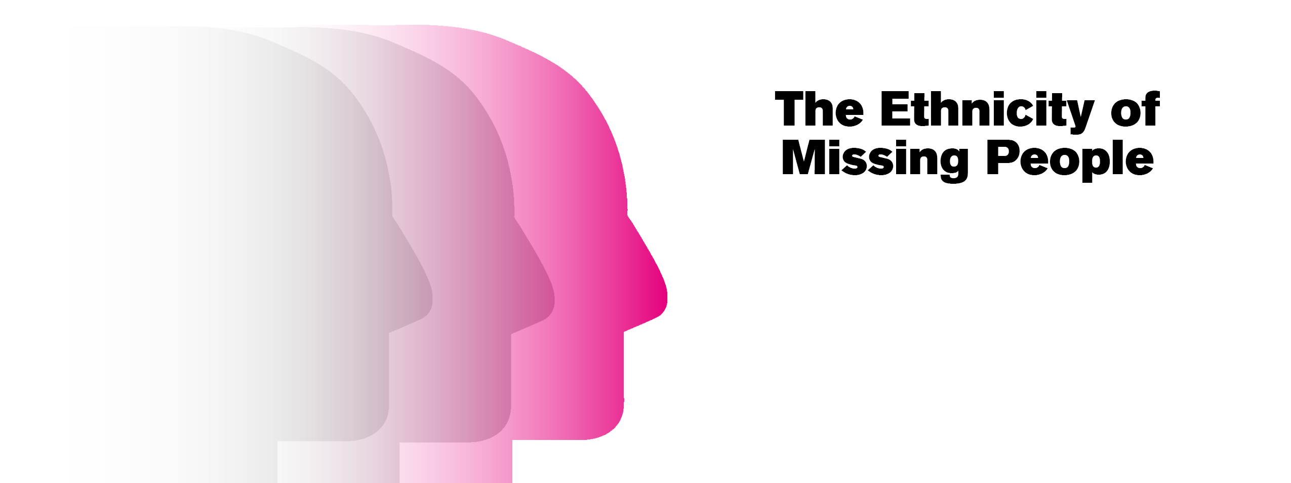 Ethnicity Report Graphic Text