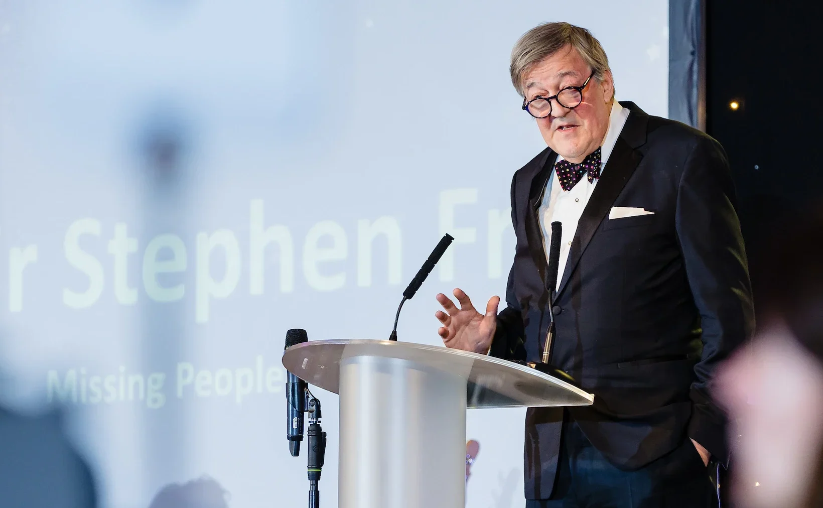 Blog – Sir Stephen Fry